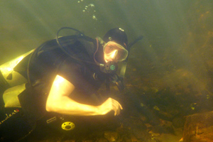 Dan O'Halloran